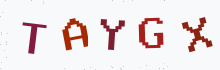 Captcha image - type the characters you see