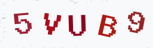 Captcha image - type the characters you see