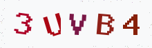 Captcha image - type the characters you see